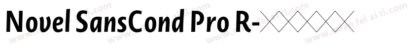 Novel SansCond Pro R字体转换